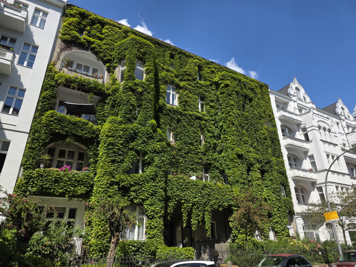 Ein mit dem Galaxy S25 Ultra gemachtes Bild (Bild: Tobias Költzsch/Golem.de)